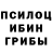 Галлюциногенные грибы прущие грибы PAR ILKA