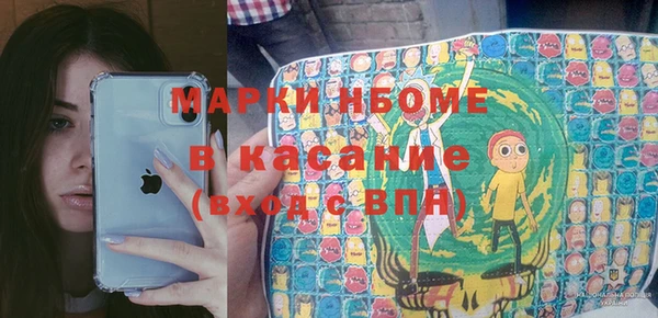 молекула духа Козловка