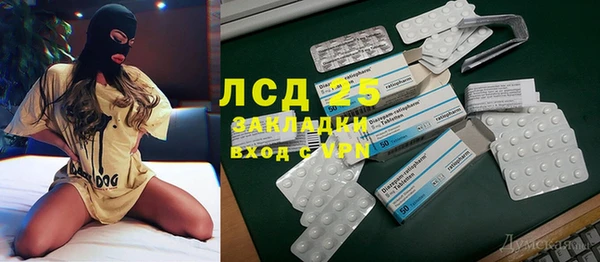 молекула духа Козловка