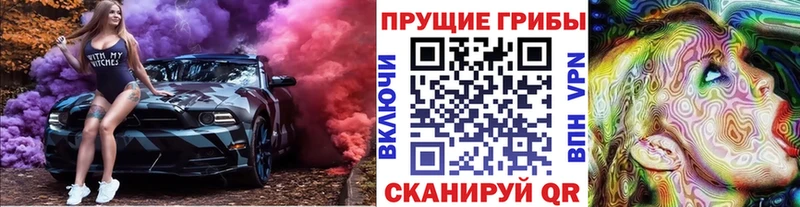 Галлюциногенные грибы Psilocybe  Можайск 