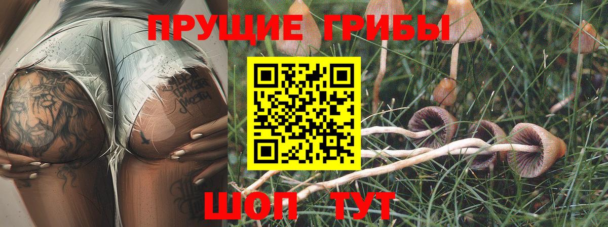 Псилоцибиновые грибы MAGIC MUSHROOMS  Вход с VPN  Можайск 