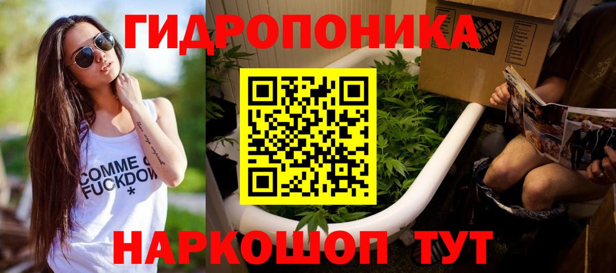 Бошки Шишки планчик Можайск